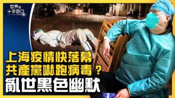 【十字路口】上海清零扛不住 党指挥疫情数据？