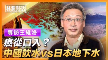 【林澜对话】王维洛：鱼鸭都罹癌 惊人水污染被掩盖