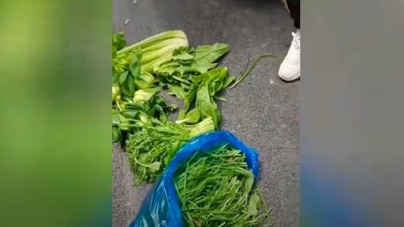 視頻：上海市民痛斥發國難財 一點青菜就賣120元