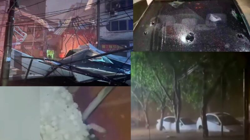 中國大降溫 四川安岳13級狂風 汽車被泡樹木颳倒（視頻）