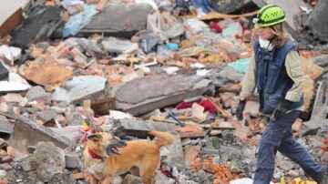 里斯本新景 沉浸式体验18世纪毁灭性大地震