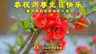 澳大利亞、新西蘭法輪功學員恭賀世界法輪大法日暨李洪志大師華誕