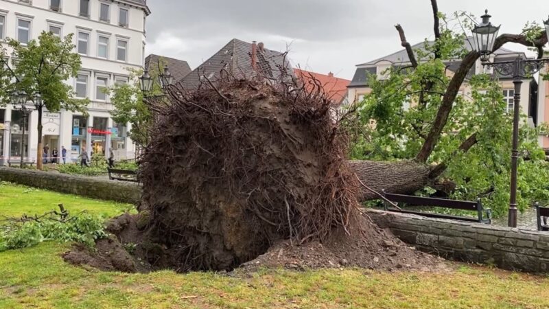 龙卷风袭德国西部 屋顶被掀树木倒地 30多人伤