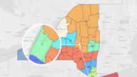 法官批准纽约州新选区划分 民主党受挫