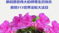 海外法輪功學員恭賀世界法輪大法日暨李洪志大師華誕