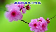 身陷囹圄的法輪功學員恭賀世界法輪大法日暨李洪志大師華誕(25條)
