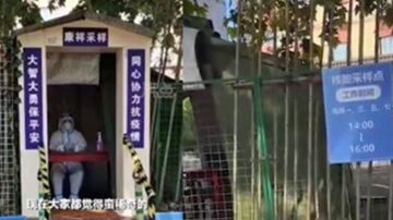 杭州核酸採樣點似土地廟 網諷：就差個香爐（視頻）