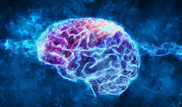 大脑可以再生？5个方法逆转脑衰老