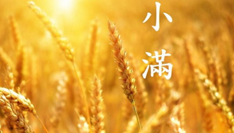 夏天第二個節氣 為何稱為「小滿」？