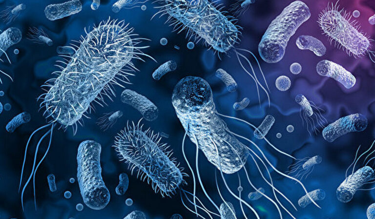比單用抗生素有效？科學家發明抗超級細菌新方法
