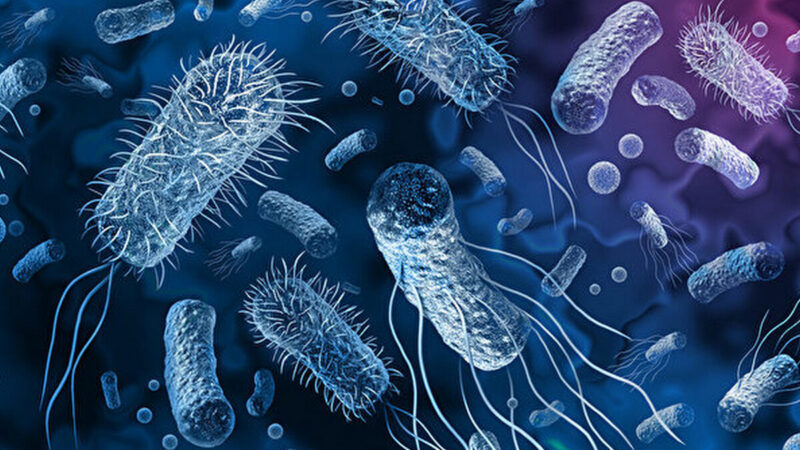 比单用抗生素有效？科学家发明抗超级细菌新方法