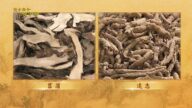 談古論今話中醫：自閉發展遲緩療法