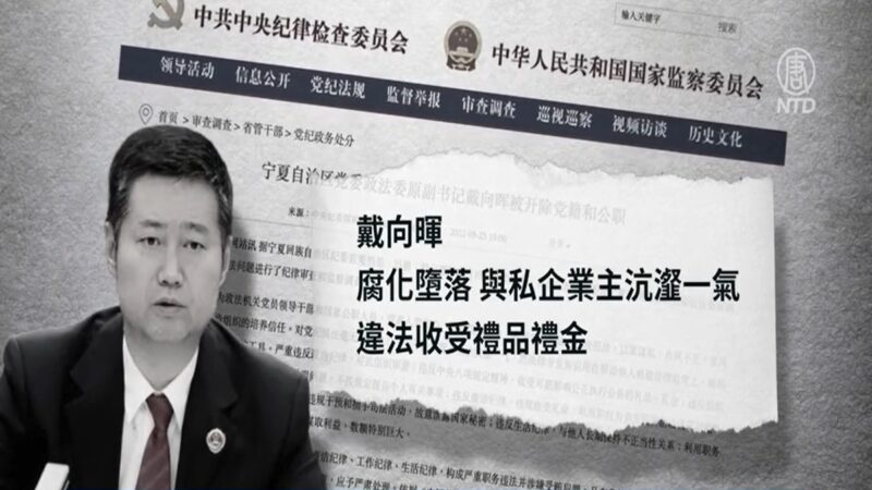 【落马官员】宁夏政法委原副书记戴向晖被查 曾迫害法轮功