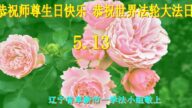 遼寧法輪功學員恭賀世界法輪大法日暨李洪志大師華誕(19條)