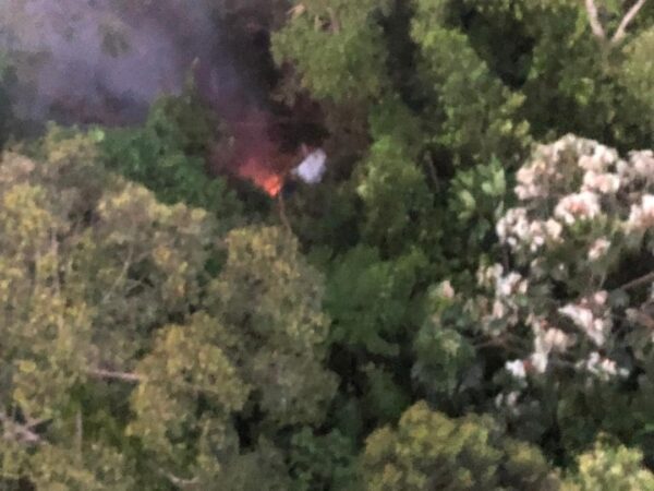 喀麦隆载11人飞机坠毁森林中 死伤不明