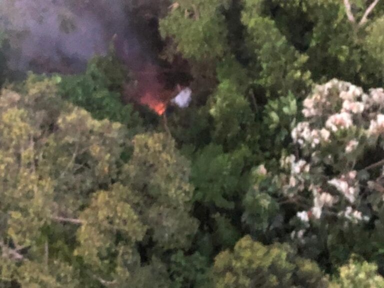 喀麥隆載11人飛機墜毀森林中 死傷不明