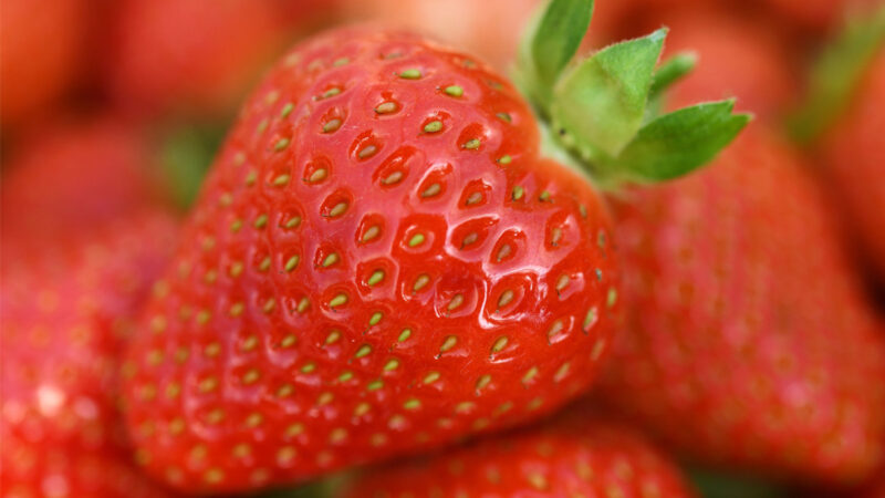 甲肝疫情抬頭 美國警不要吃兩品牌的草莓