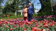 北美最大鬱金香節  重現花海人潮