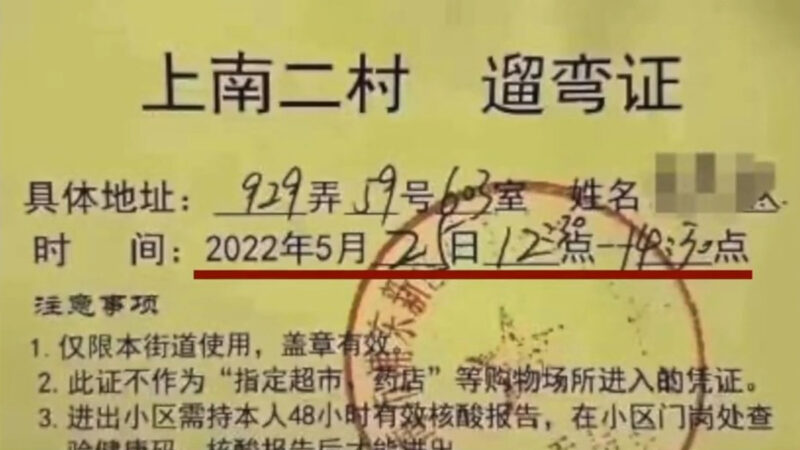 上海出入小区又创新词“遛弯证”