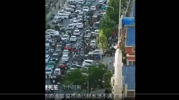 郑州宣布封城 民众蜂拥抢购瘫痪交通（视频）