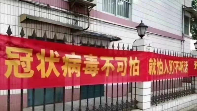 郝平：北京议“扁鹊”上海现“贾庆林” 习仍被骗？