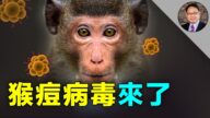 【四維健康】猴痘病毒，有一類人容易感染