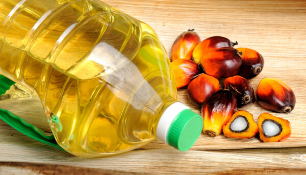 一些常見種子油或「有毒」如何避免？