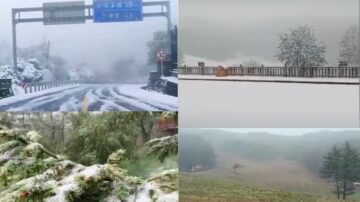 立夏之后 重庆、陕西、河北3省市均降大雪（视频）