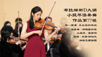 【器乐独奏与协奏曲】布拉姆斯D大调小提琴协奏曲，作品第77号