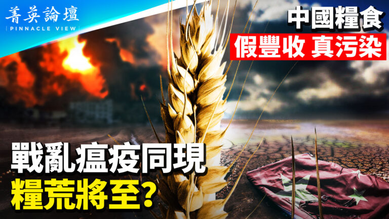 【菁英論壇】中國糧食假豐收真污染 危機將至