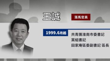 【落馬官員】安徽省政府副祕書長王誠被查