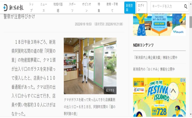 日本新潟「熊入侵」商店 30多人被嚇到