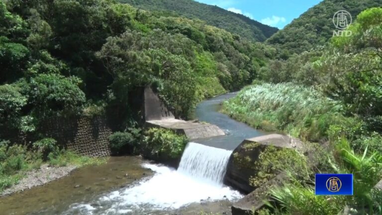 雙流國家森林遊樂區 五感體驗大自然之美