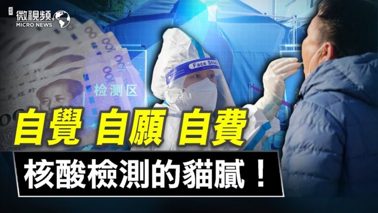 【微視頻】自覺自願自費核酸檢測的貓膩