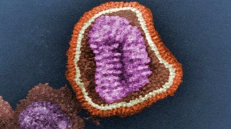 新研究可阻断流感病毒在人体细胞内复制