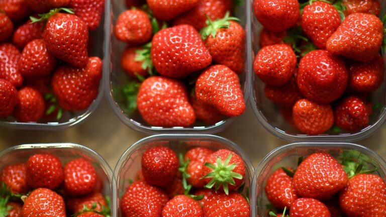 美當局調查：甲肝爆發或與食用污染草莓有關