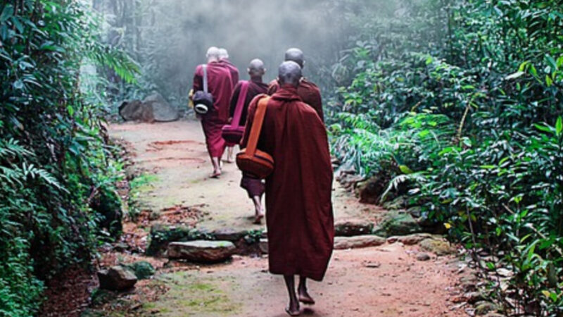 修行高深的僧侶轉生 會發生什麼神奇事？