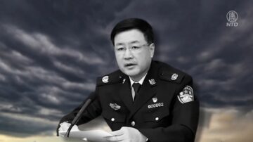 王小洪连续出手 “百日行动”后要打击网军