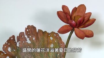 【广告】美丽心台湾：黄妈庆木雕工作室