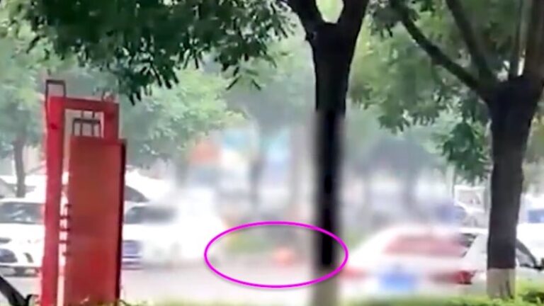 河北涿鹿縣男子當街砍妻 致妻躺在血泊中（視頻）
