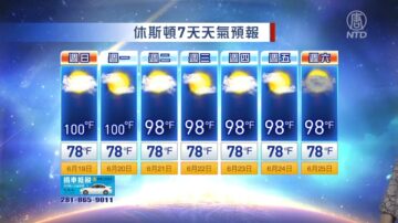 休斯顿一周天气预报