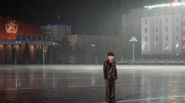 反美集會剛收場 朝鮮遇暴雨襲擊 樹被連根拔起