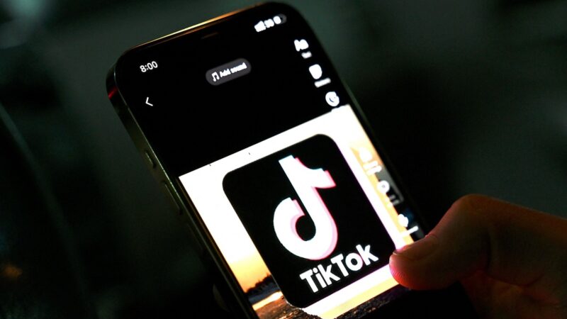 TikTok被曝內置瀏覽器 監視用戶信息