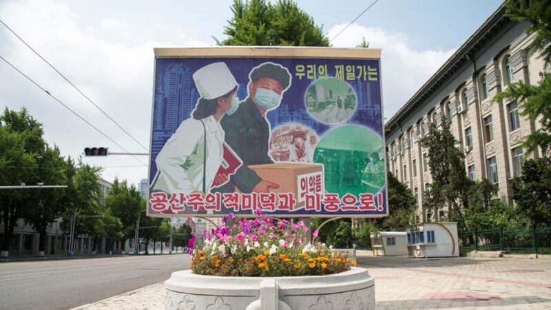 朝鲜要求人们戴3层口罩插秧 有人窒息晕倒