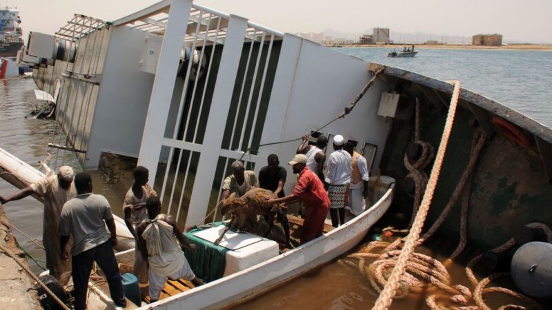 蘇丹船隻嚴重超載沉沒 逾15000隻羊溺斃