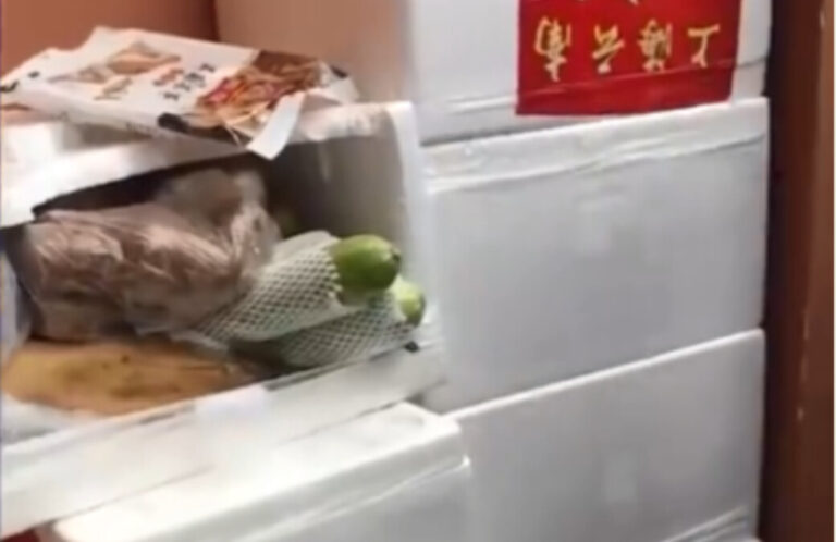 上海涉倒賣物資官員復職 民眾批處分做樣子