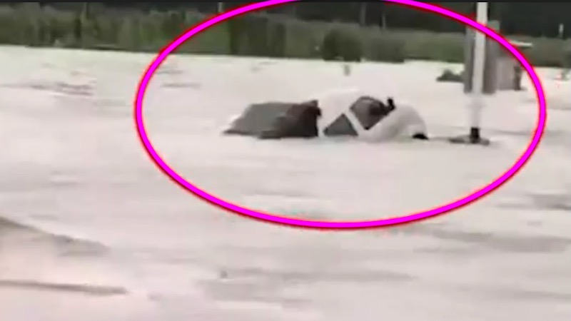 广东惠州一对夫妻连车带人被洪水冲走（视频）