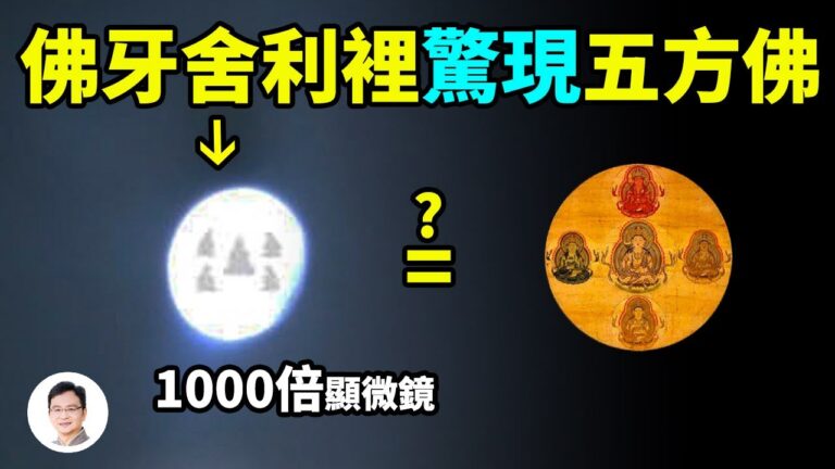 【文昭思緒飛揚】佛牙舍利裡驚現五方佛