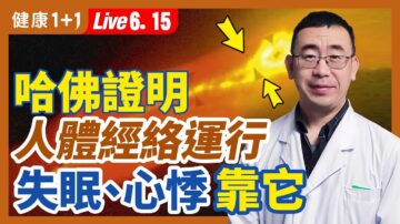 【健康1+1】哈佛证实人体经络 失眠心悸靠它改善