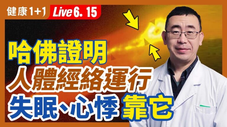 【健康1+1】哈佛證實人體經絡 失眠心悸靠它改善